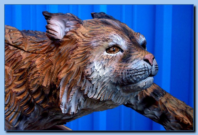 2-03 bobcat-archive-0006